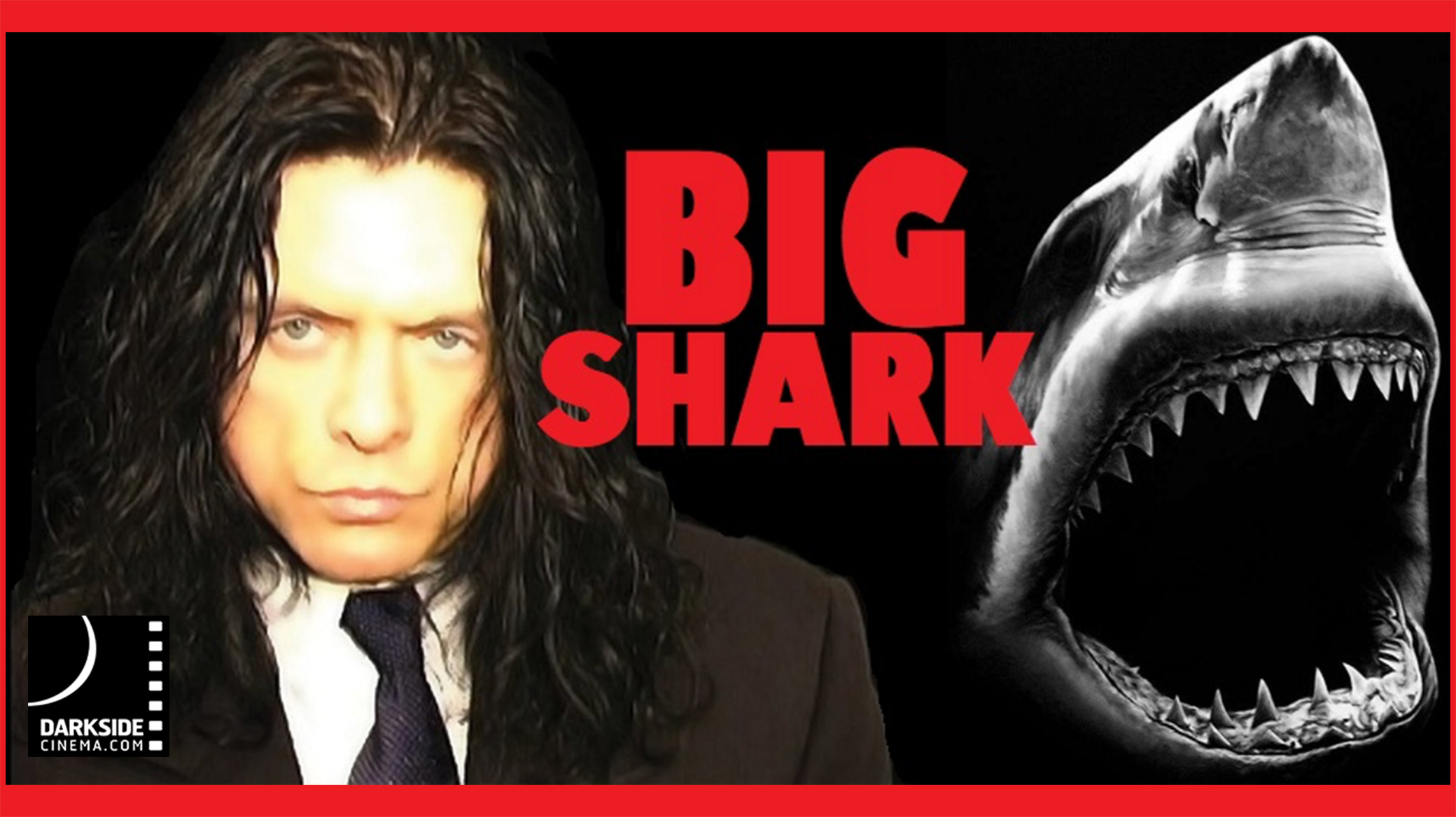 THE SHEPHERD AND THE BEAR